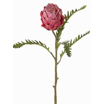 Protéa artificiel BREGANSA, rose antique, 65 cm, Ø 7 cm Protéa artificiel BREGANSA, rose antique, 65 cm, Ø 7 cm