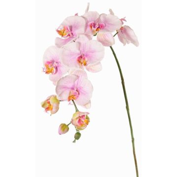 Branche décorative Orchidée Phalaenopsis WESA, rose-blanc, 100cm Branche décorative Orchidée Phalaenopsis WESA, rose-blanc, 100cm