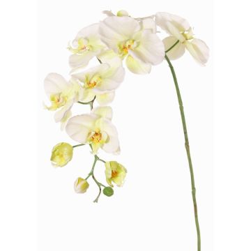 Branche décorative Orchidée Phalaenopsis WESA, blanc-vert, 100cm Branche décorative Orchidée Phalaenopsis WESA, blanc-vert, 100cm