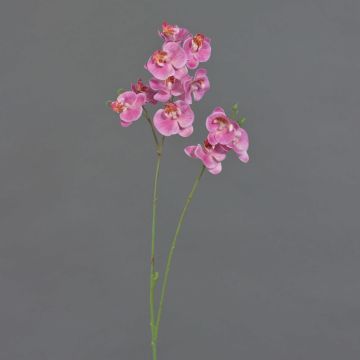 Branche artificielle Orchid&eacute;e Phalaenopsis VILLANI, rose-fuchsia, 65cm