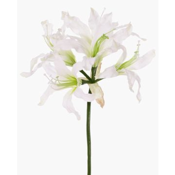 Fleur artificielle « Amaryllis de jardin » KUSTANA, blanc-vert, 70 cm, Ø 10-16 cm