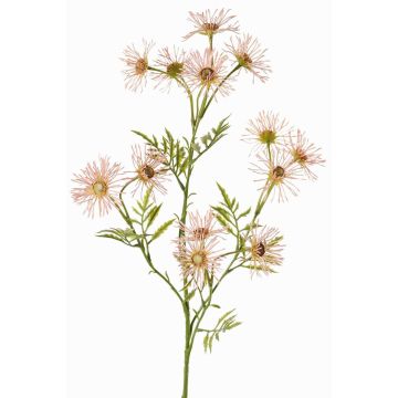 Marguerite artificielle KORNELA, rose clair, 70 cm, Ø 6 cm Marguerite artificielle KORNELA, rose clair, 70 cm, Ø 6 cm