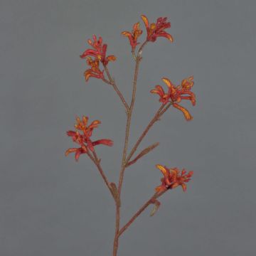 Fleur décorative Anigozanthos LEOBER, rouge-orange, 75cm