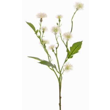 Centaurée des prés artificielle HOLLA, blanche, 55 cm, Ø 3-4 cm Centaurée des prés artificielle HOLLA, blanche, 55 cm, Ø 3-4 cm