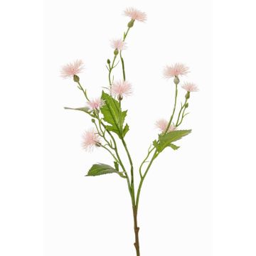 Fleur artificielle de centaurée des prés HOLLA, rose pâle, 55 cm, Ø 3-4 cm Fleur artificielle de centaurée des prés HOLLA, rose pâle, 55 cm, Ø 3-4 cm