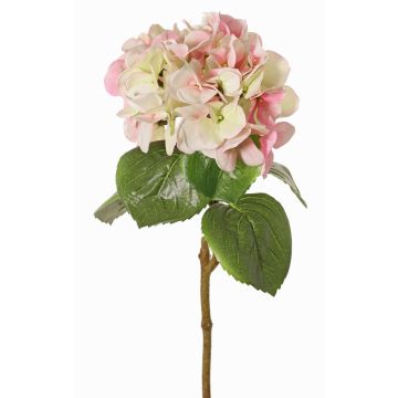 Hortensia artificiel CHIDORI, crème-fuchsia-vert, 60cm, Ø18cm Hortensia artificiel CHIDORI, crème-fuchsia-vert, 60cm, Ø18cm