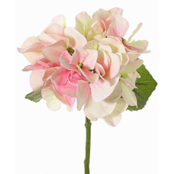 Hortensia artificiel CHIDORI, crème-fuchsia-vert, 30cm, Ø13cm Hortensia artificiel CHIDORI, crème-fuchsia-vert, 30cm, Ø13cm