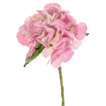 Hortensia artificiel CHIDORI, rose-crème, 30 cm, Ø 13 cm Hortensia artificiel CHIDORI, rose-crème, 30 cm, Ø 13 cm