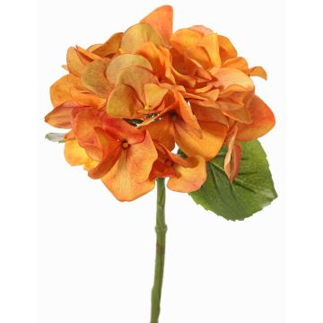 Fleur artificielle d'hortensia CHIDORI, orange, 30 cm, Ø 13 cm Fleur artificielle d'hortensia CHIDORI, orange, 30 cm, Ø 13 cm