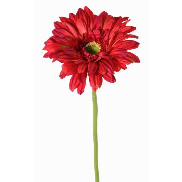 Gerbera artificiel HELLI, rouge, 65 cm, Ø 12 cm Gerbera artificiel HELLI, rouge, 65 cm, Ø 12 cm