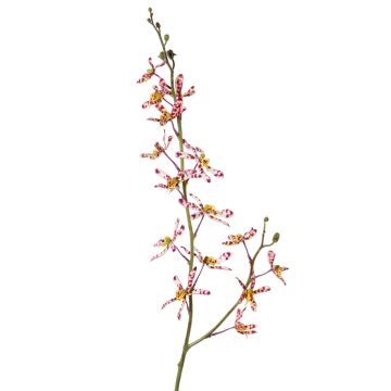 Branche artificielle Orchidée Cattleya TRASSA, fuchsia-blanc-jaune, 80cm Branche artificielle Orchidée Cattleya TRASSA, fuchsia-blanc-jaune, 80cm