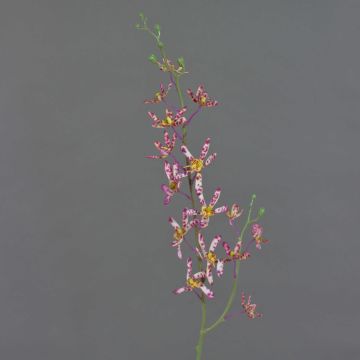 Branche artificielle Orchidée Cattleya TRASSA, fuchsia-blanc-jaune, 80cm Branche artificielle Orchidée Cattleya TRASSA, fuchsia-blanc-jaune, 80cm