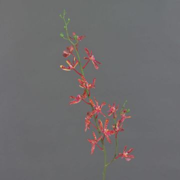Branche artificielle Orchidée Cattleya TRASSA, rouge-orange, 80cm Branche artificielle Orchidée Cattleya TRASSA, rouge-orange, 80cm