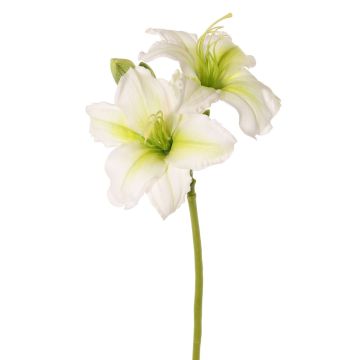 Fleur artificielle « hémérocalle » NEULIDA avec fleurs, blanc-vert, 65 cm, Ø 11 cm