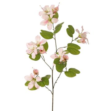 Branche de fleurs artificielles Bauhinia ENSANA, rose pâle, 120 cm