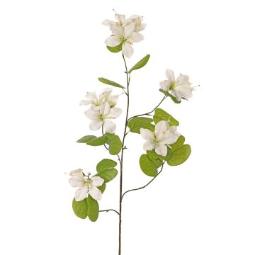 Branche de fleurs artificielles Bauhinia ENSANA, blanche, 120 cm