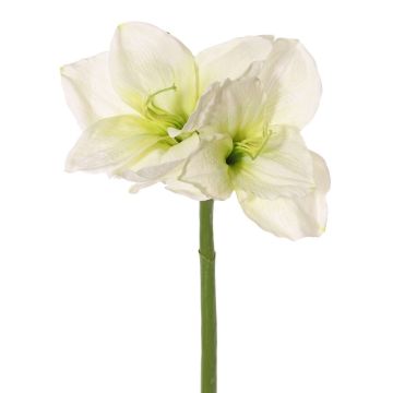 Amaryllis artificielle NARWELA, blanc-vert, 70 cm, Ø 10-13 cm