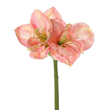 Amaryllis artificielle NARWELA, rose-fuchsia-vert, 70 cm, Ø 10-13 cm