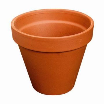 Pot de fleurs en terre cuite DUNARI, 47cm, Ø53cm Pot de fleurs en terre cuite DUNARI, 47cm, Ø53cm
