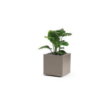 Pot de fleurs carré NASTASJA en plastique recyclé, avec réserve d'eau, roulettes, taupe, 39,5x39,5x38cm, 35L Pot de fleurs carré NASTASJA en plastique recyclé, avec réserve d'eau, roulettes, taupe, 39,5x39,5x38cm, 35L