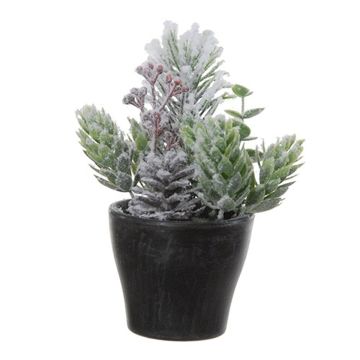 Arrangement de sapin, de houblon et de gaultheria artificiel VIANNO, enneigé, pot décoratif, vert-blanc, 14cm, Ø11cm Arrangement de sapin, de houblon et de gaultheria artificiel VIANNO, enneigé, pot décoratif, vert-blanc, 14cm, Ø11cm