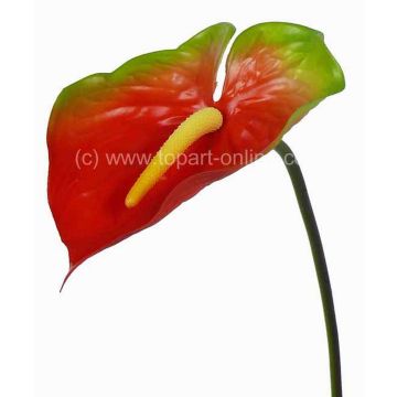 Faux Anthurium MOIRA, jaune-rouge, 75cm, 13x20cm Faux Anthurium MOIRA, jaune-rouge, 75cm, 13x20cm