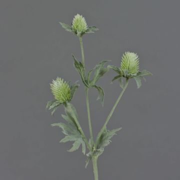 Eryngium artificiel SVEA, vert, 40cm, Ø2-3cm Eryngium artificiel SVEA, vert, 40cm, Ø2-3cm