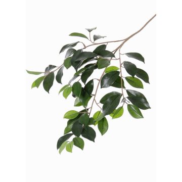 Branche de ficus artificielle BHAO, vert, 65cm Branche de ficus artificielle BHAO, vert, 65cm