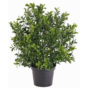 Buisson de buis artificiel TOM, anti-uv, vert, 30cm, Ø20cm Buisson de buis artificiel TOM, anti-uv, vert, 30cm, Ø20cm