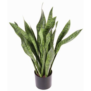 Sansevière artificielle BEYZA, vert, 80cm Sansevière artificielle BEYZA, vert, 80cm