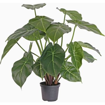 Syngonium artificiel PERAMI, vert, 45cm Syngonium artificiel PERAMI, vert, 45cm