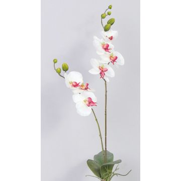Orchidée en tissu NAARA, piquet, blanc-fuchsia, 75cm