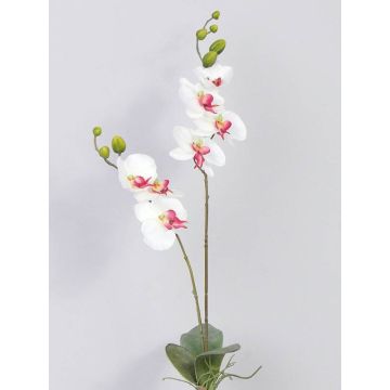 Orchidée en tissu NAARA, piquet, blanc-rose fuchsia, 75cm, Ø6-8cm Orchidée en tissu NAARA, piquet, blanc-rose fuchsia, 75cm, Ø6-8cm