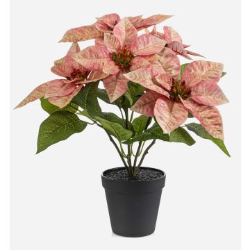 Étoile de Noël artificielle GRULEN dans un pot décoratif, couleur pêche, 40 cm