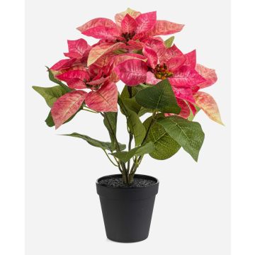 Étoile de Noël artificielle GRULEN dans un pot décoratif, rose, 40 cm