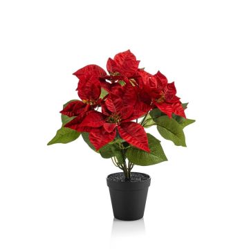 Étoile de Noël artificielle GRULEN dans un pot décoratif, rouge, 40 cm