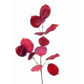 Tige de monnaie-du-pape artificielle JEPPE, rose fuchsia, 60cm