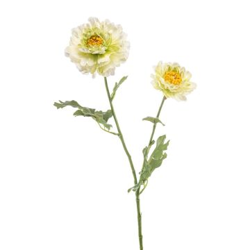Fleur déco Renoncule LOLYN, vert-crème, 65cm