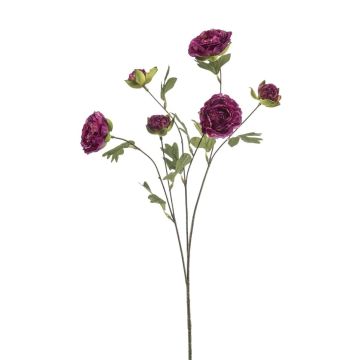 Branche artificielle Renoncule DAVELLA, violet foncé, 80cm