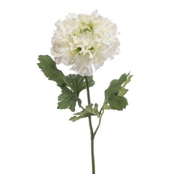 artificielle Renoncule ULISAN, crème-vert, 60cm, Ø14cm
