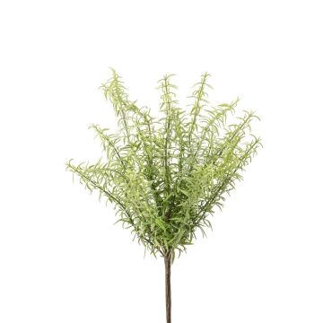 Herbe artificielle romarin SEREGON sur tige, vert-gris, 30 cm Herbe artificielle romarin SEREGON sur tige, vert-gris, 30 cm