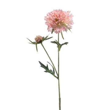 branche artificiel Scabieuse BASOLO, rose-crème, 55cm