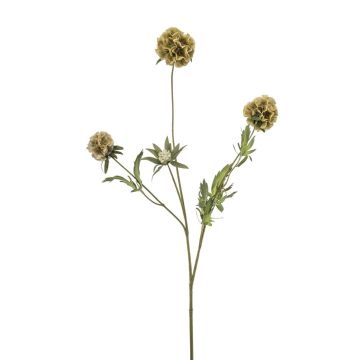 Branche déco Étoile Scabieuse RANIK, vert, 70cm