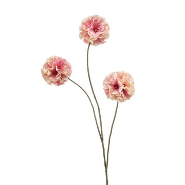 artificielle Étoile Scabieuse DESIRIO, pêche-rose, 75cm