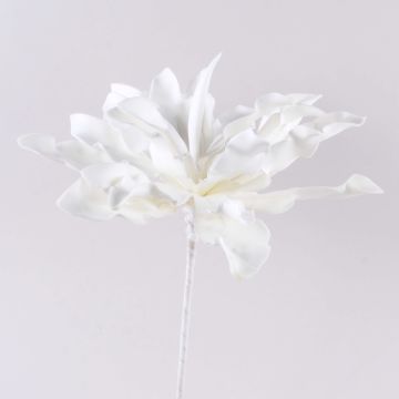 Succulente artificielle agave DANINA, blanc, 35cm, Ø30cm Succulente artificielle agave DANINA, blanc, 35cm, Ø30cm