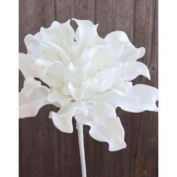 Succulente artificielle agave DANINA, blanc, 35cm, Ø30cm