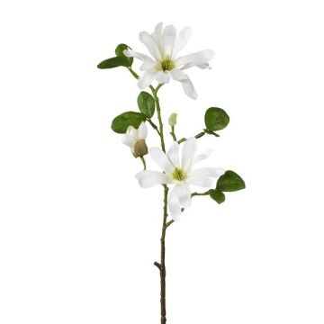 Branche de fleurs artificielles Magnolia étoilé BLOVI, crème, 60cm Branche de fleurs artificielles Magnolia étoilé BLOVI, crème, 60cm