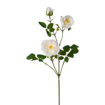 Branche de fleurs artificielles Pivoine KROVEL, crème, 75cm