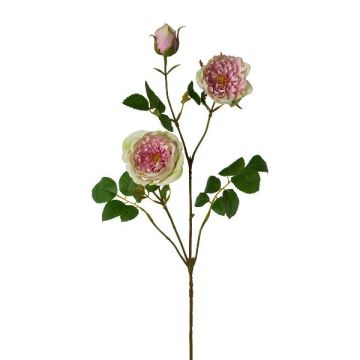 Branche de fleurs artificielles Pivoine KROVEL, vert-rose, 75cm Branche de fleurs artificielles Pivoine KROVEL, vert-rose, 75cm