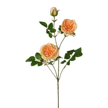 Branche de fleurs artificielles Pivoine KROVEL, abricot, 75cm